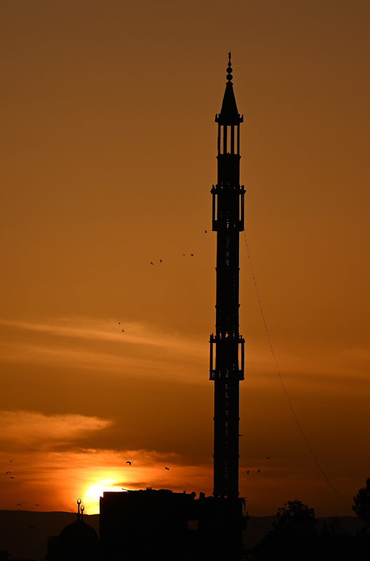 DSC_6932.jpg