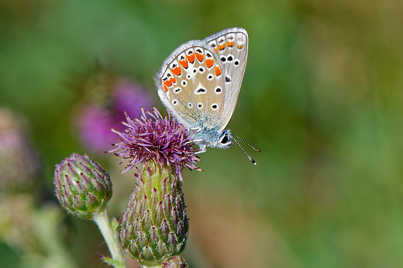 DSC_4768_DxO.jpg