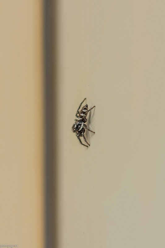 DSC_7358_001DSC_7358.JPG
