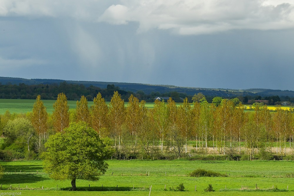 N1 avant de partir en aquitaine avec cette image de pluie ont voi encore le colza jaune.JPG