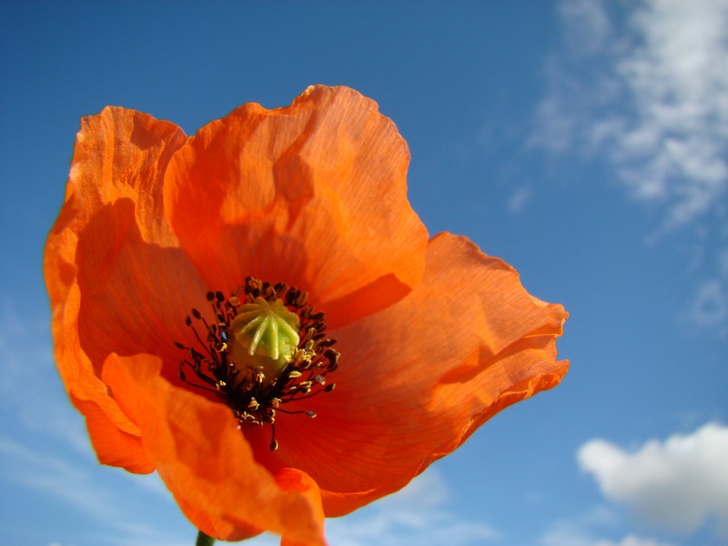 05.05.08 050.jpg