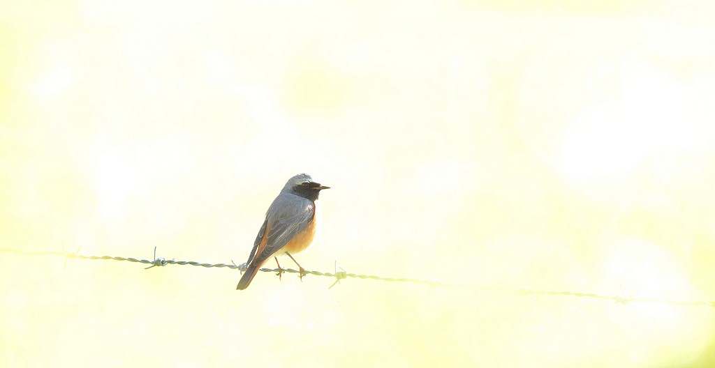 DSC_8700.JPG