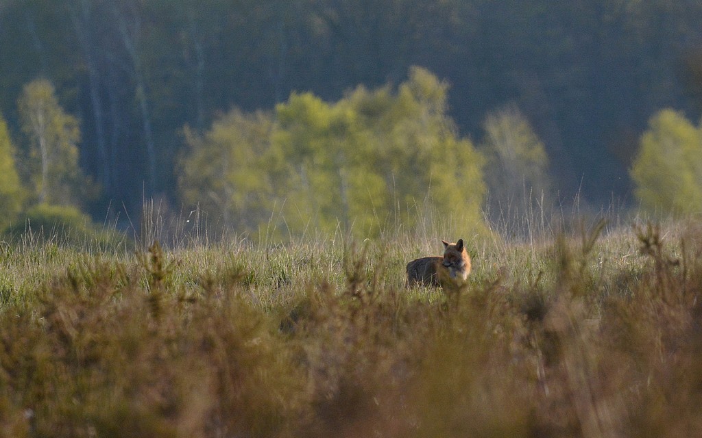 DSC_8769.JPG