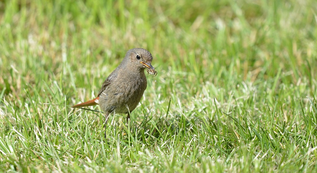 DSC_8973.JPG