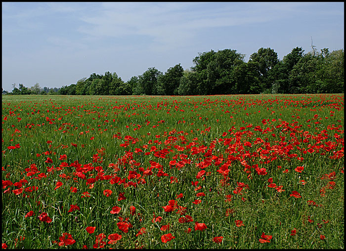 DSC01150(1).jpg