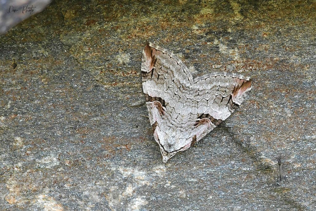 DSC_6722IN.jpg