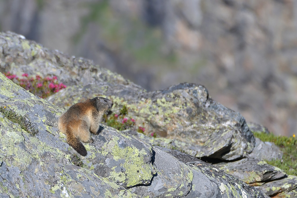DSC_6494IN.jpg