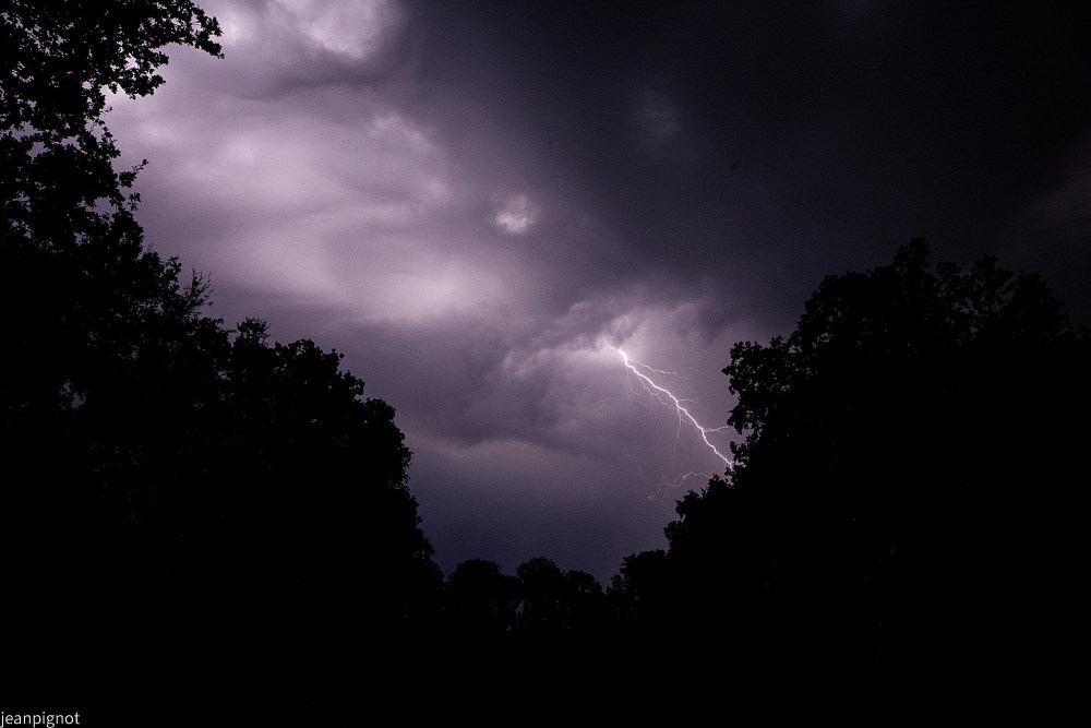 DSC_8628_001DSC_8628.JPG