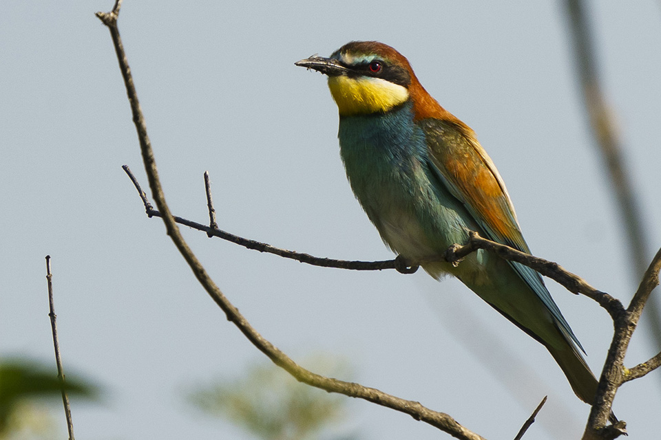 DSC05147-3.jpg