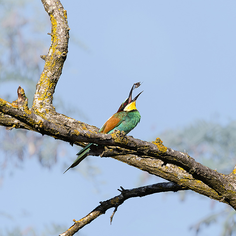 0D7A0220-5.jpg