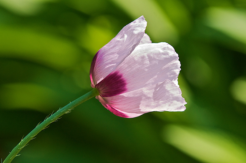 100507-059.jpg