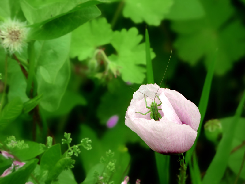 100501(S)-023.jpg