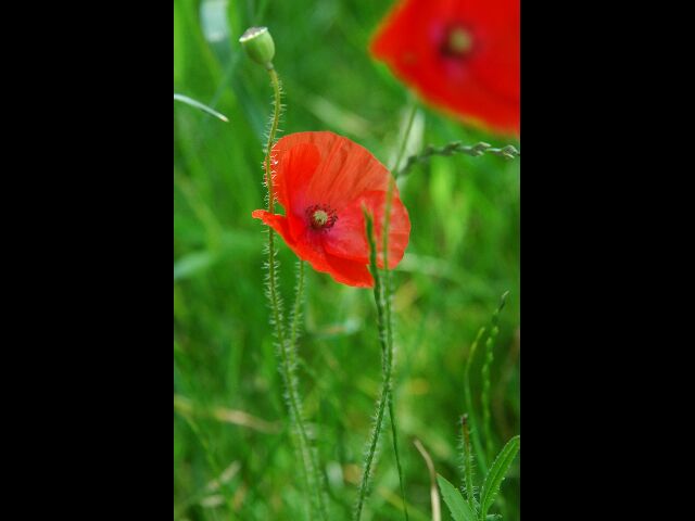 DSC_5329_640x480.jpg