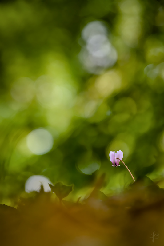 20261011__0141.jpg
