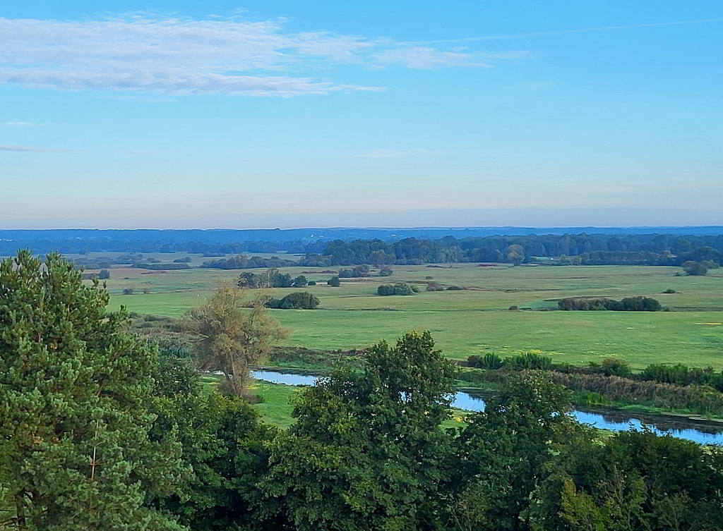 20260903_070504_01.JPG