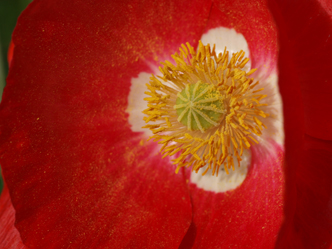 P6286698_modifié-2.jpg