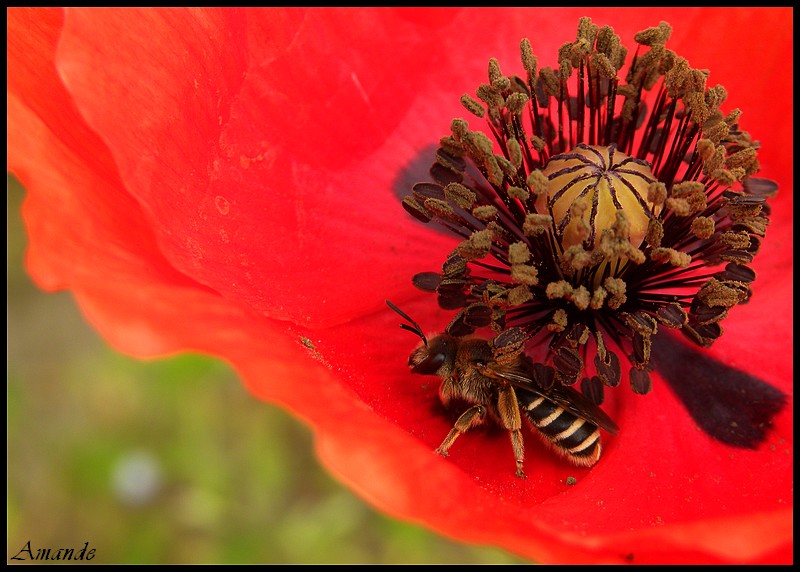 DSCN6945.JPG