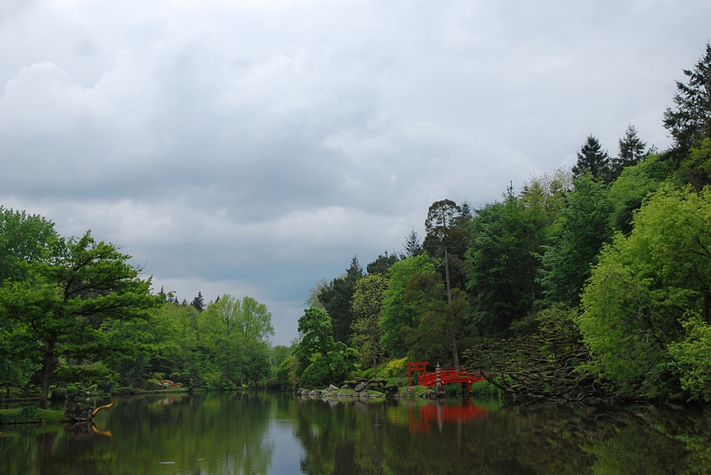 DSC_7628bredim.JPG