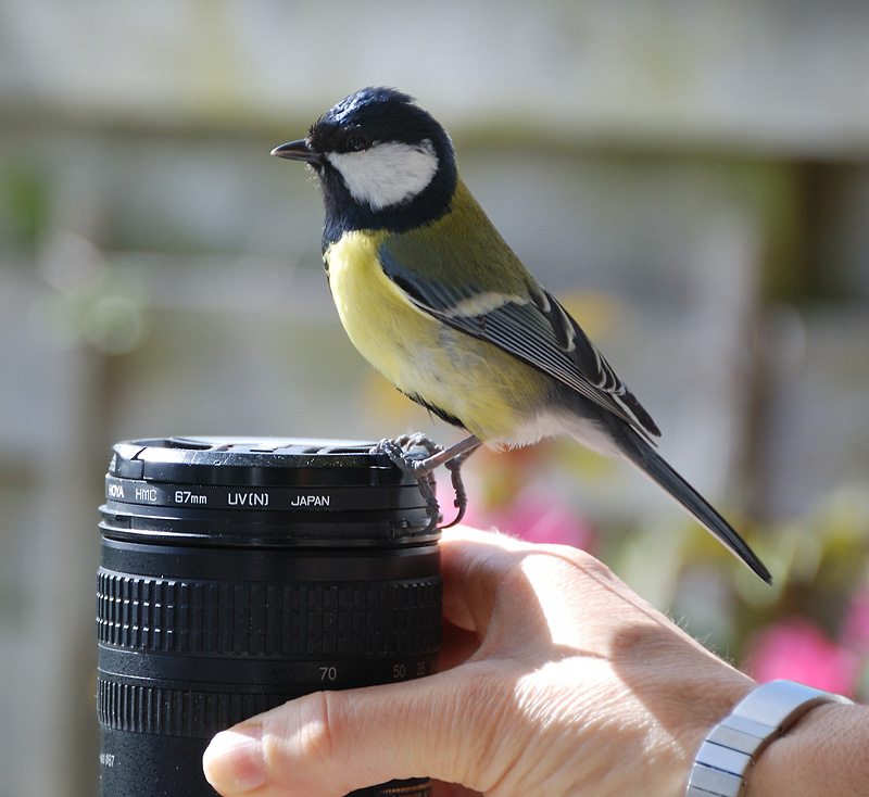 20100330-DSC_4387 copie.jpg
