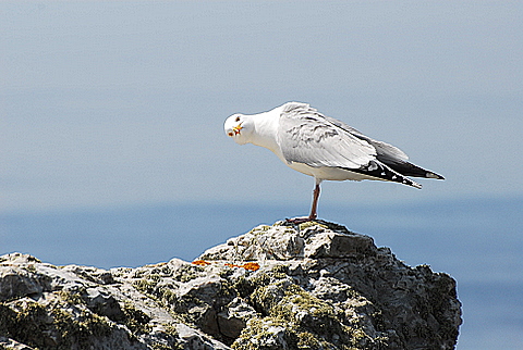DSC_0352.JPG