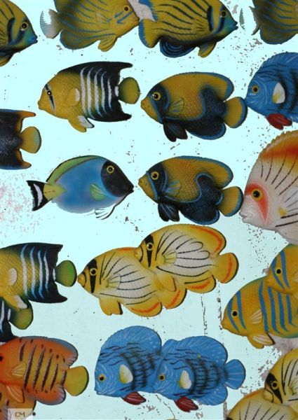 Poissons.jpg