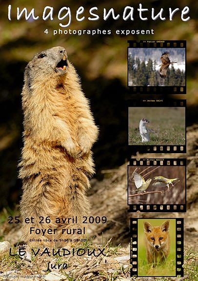 Affiche_imagesnature_reduite.jpg