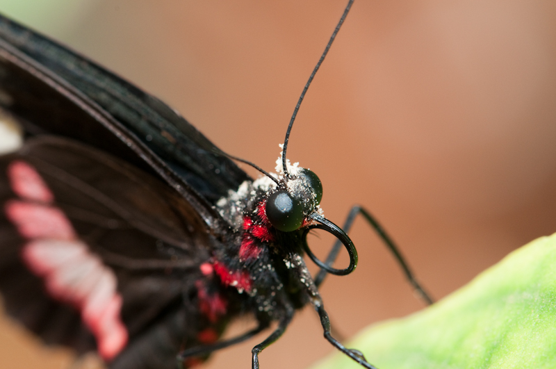 20100509-_DSC2783.jpg
