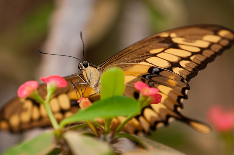 20100509-_DSC2869.jpg