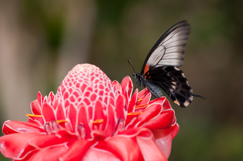 20100509-_DSC2632.jpg