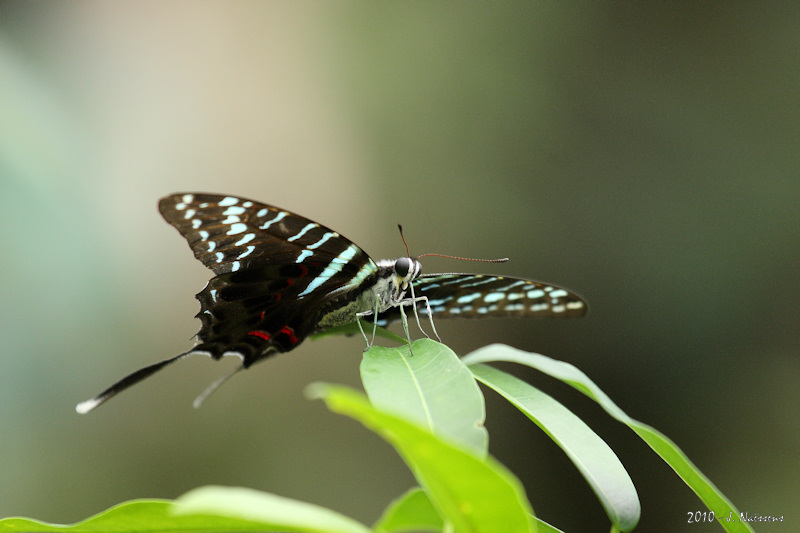 20100530_0136_w.jpg
