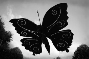 Envole-nous [320x200].JPG