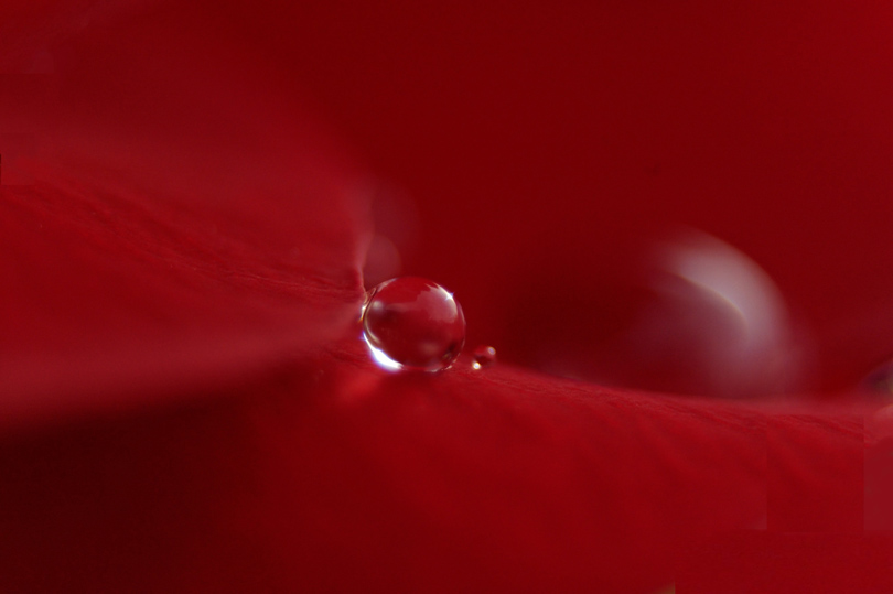 DSC_5846_raw.jpg