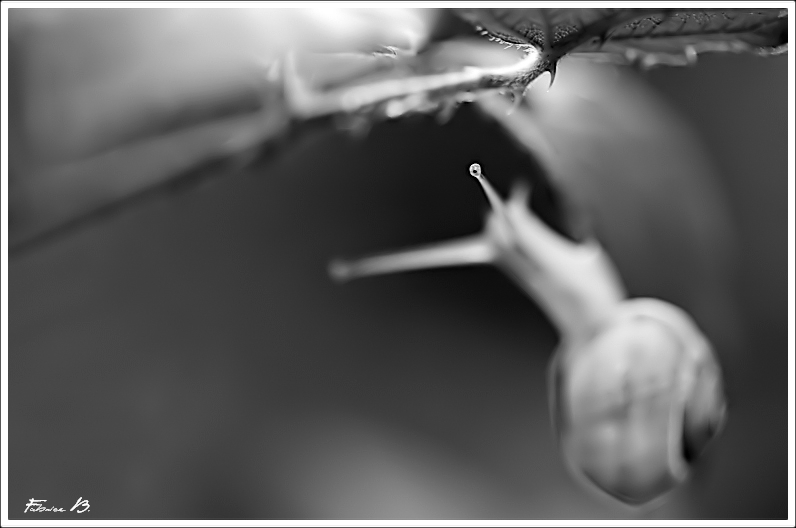 The eye21.jpg