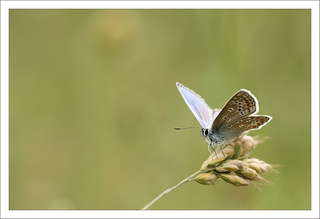 IMG_8046_concours_image_et_nature.jpg