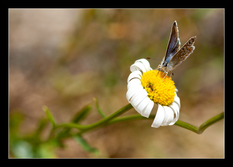 IMG_1257-3.jpg