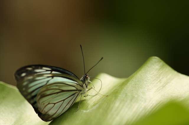 20100404_0588_1_PhotoRedukto.jpg