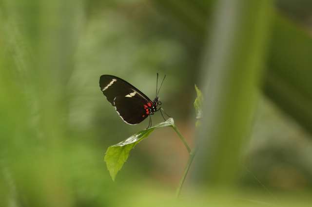 20100404_0633_1_PhotoRedukto.jpg