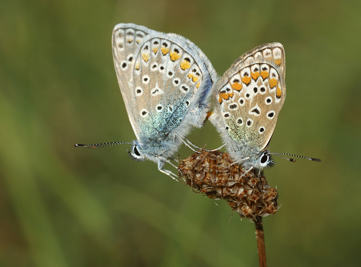 P7.jpg