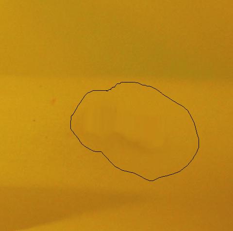 IMG_7466_modifié-1_outil_tampon.jpg