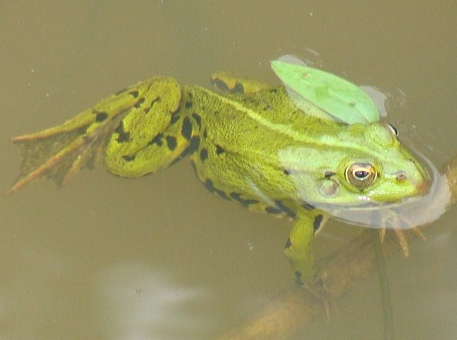 DSC07529.JPG