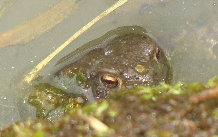 DSC07535.JPG