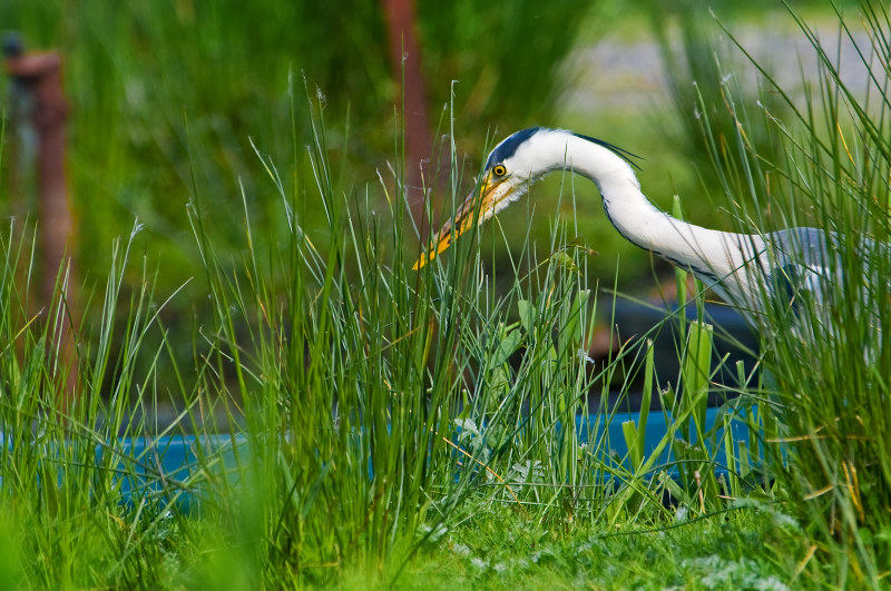 20090504_©arlier_T_0399_1.jpg