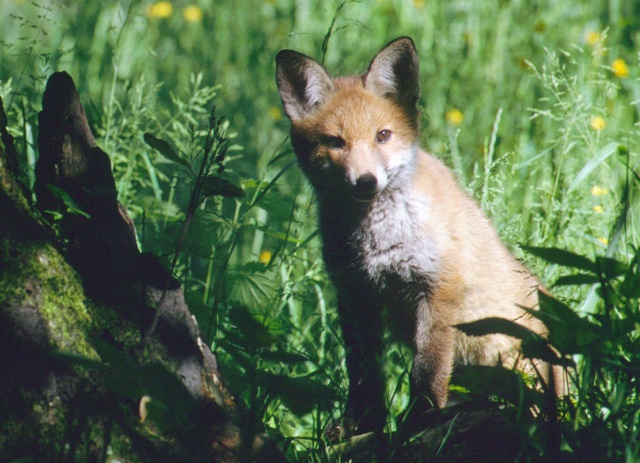 bbbbbbdlbcedjdh037-4.jpg