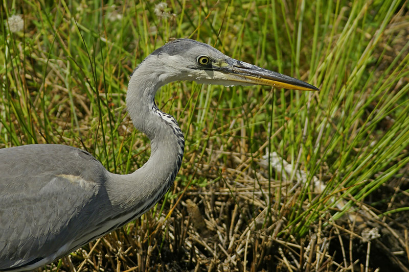 _DSC8626_small.jpg