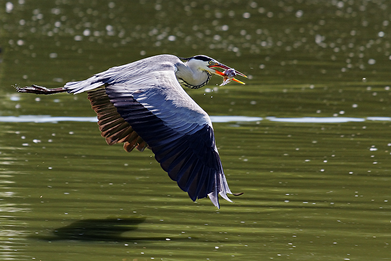 2010_06_04_0666_DxO0.jpg