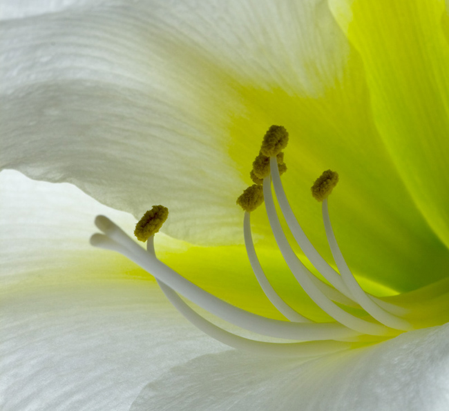2009 04 03_0317_modifiÃ©-2.jpg