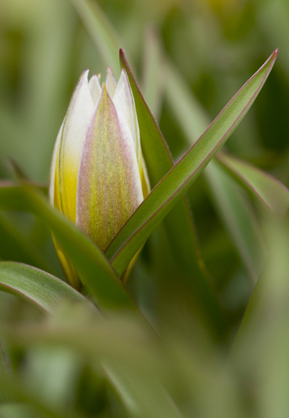 2009 04 05_0336_modifiÃ©-2.jpg
