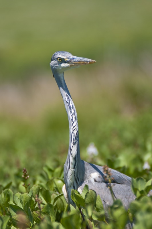 20100524_1176 t_2.jpg