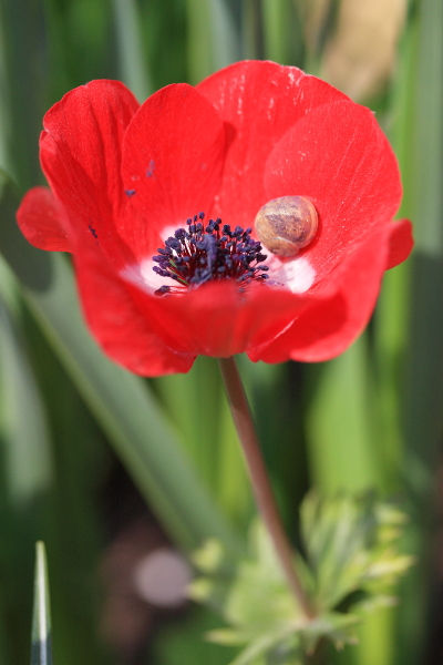 IMG_2467 forum.JPG