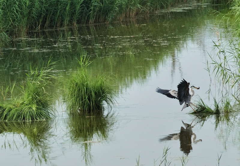 20100701_5.JPG